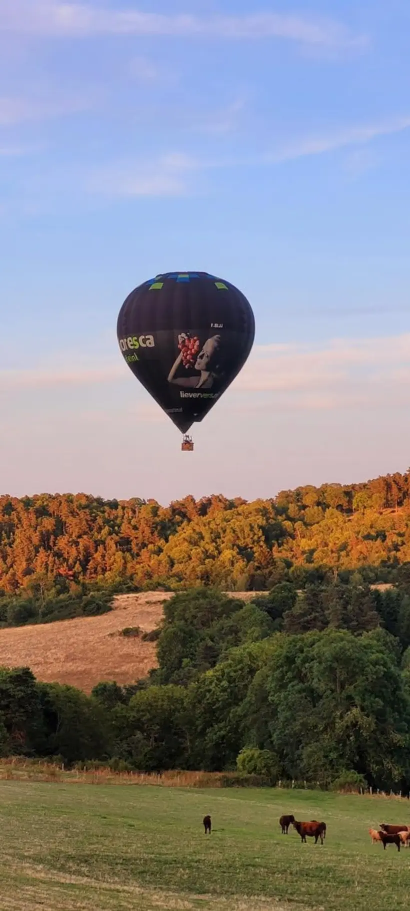 Montgolfiere Volcans Montgolfiere A Puy De Dome Vol Montgolfiere Souvenir160